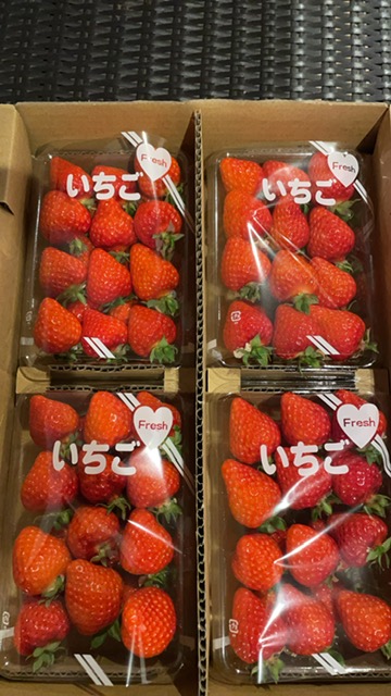 ありがとうございます🍓