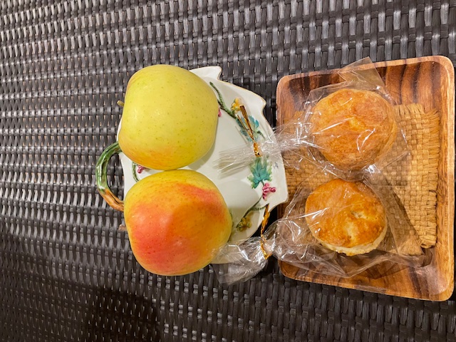 ペレットストーブ取り扱い説明へ✨（碧南市）