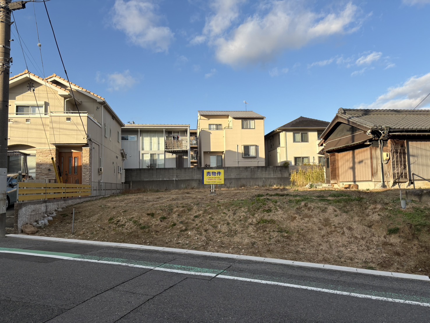 半田市桐ケ丘　約95坪　宮池小・成岩中