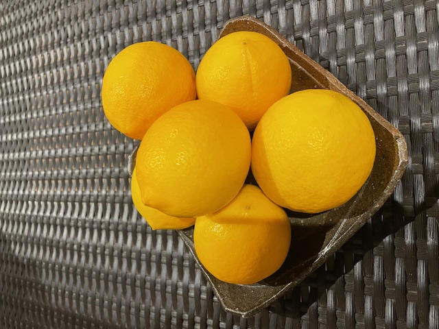 お心遣いありがとうございます✨