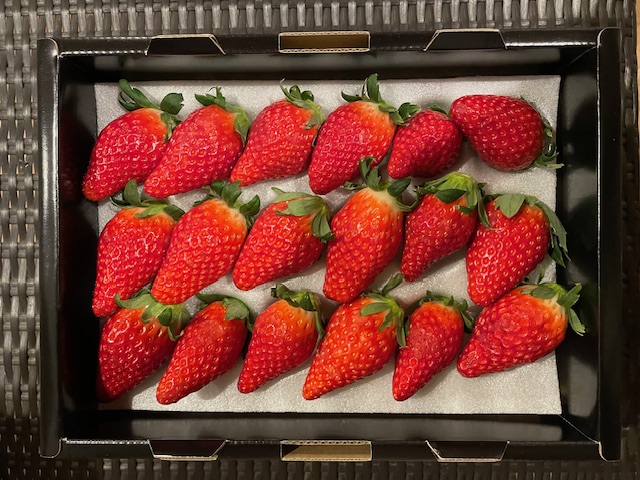 お心遣いありがとうございます✨