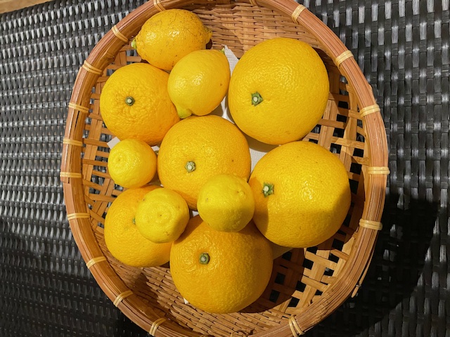 お心遣いありがとうございます✨