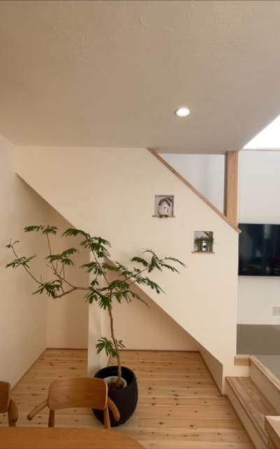 完成見学会のお礼✨(半田市)