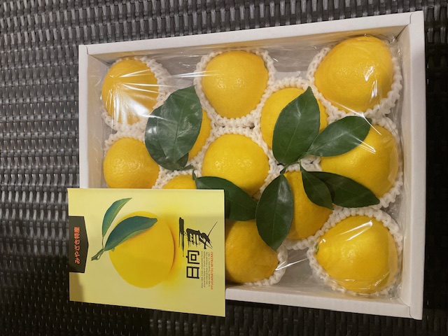 日向夏を頂きました🍊