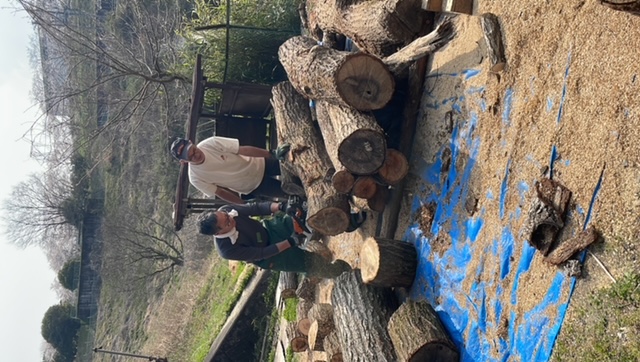 薪割イベントへ✨(岐阜県)