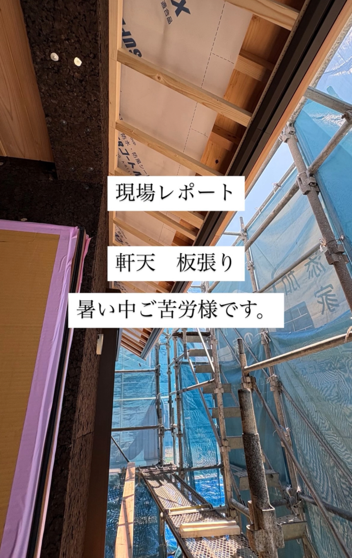 現場レポート✨(半田市)