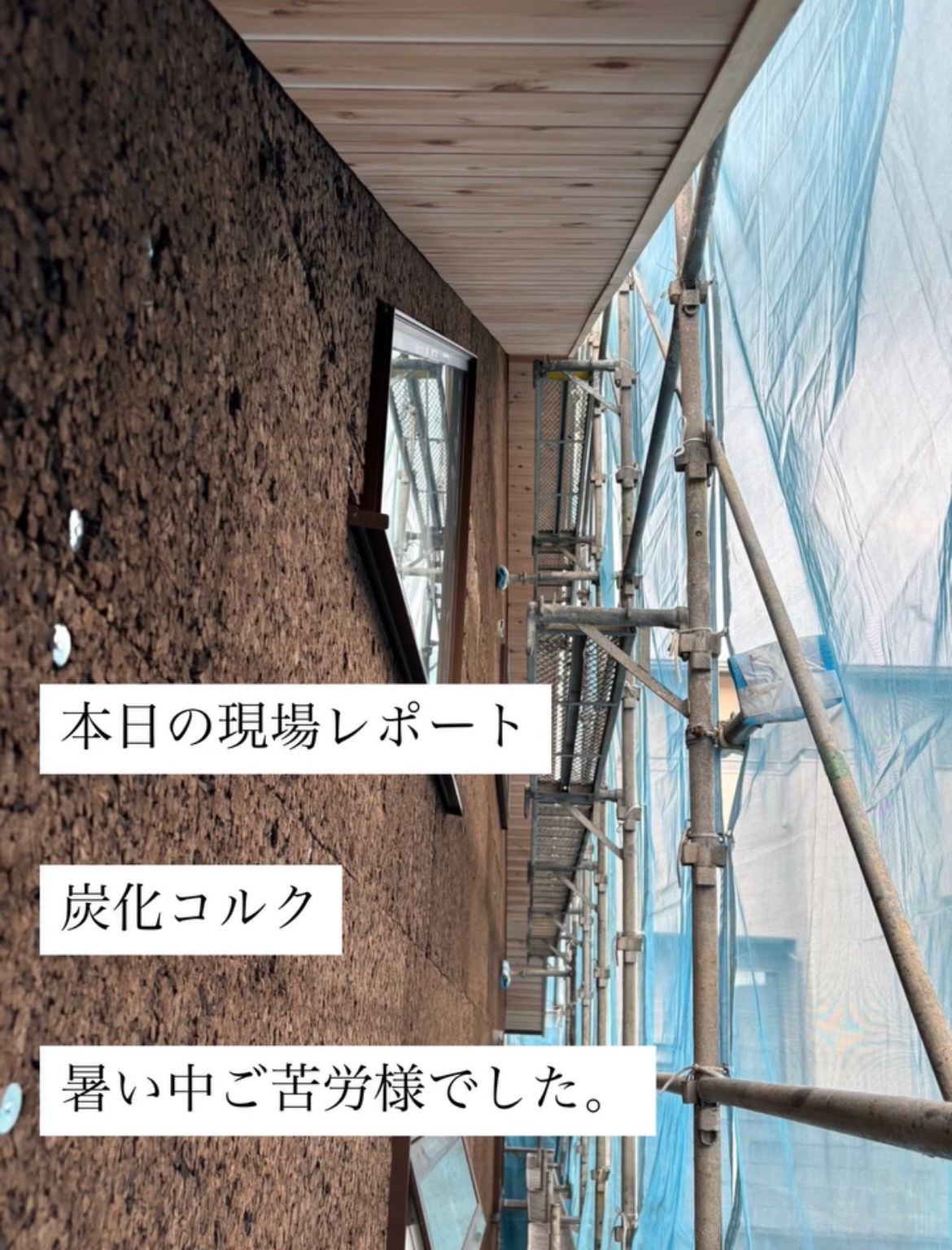現場レポート✨（半田市）