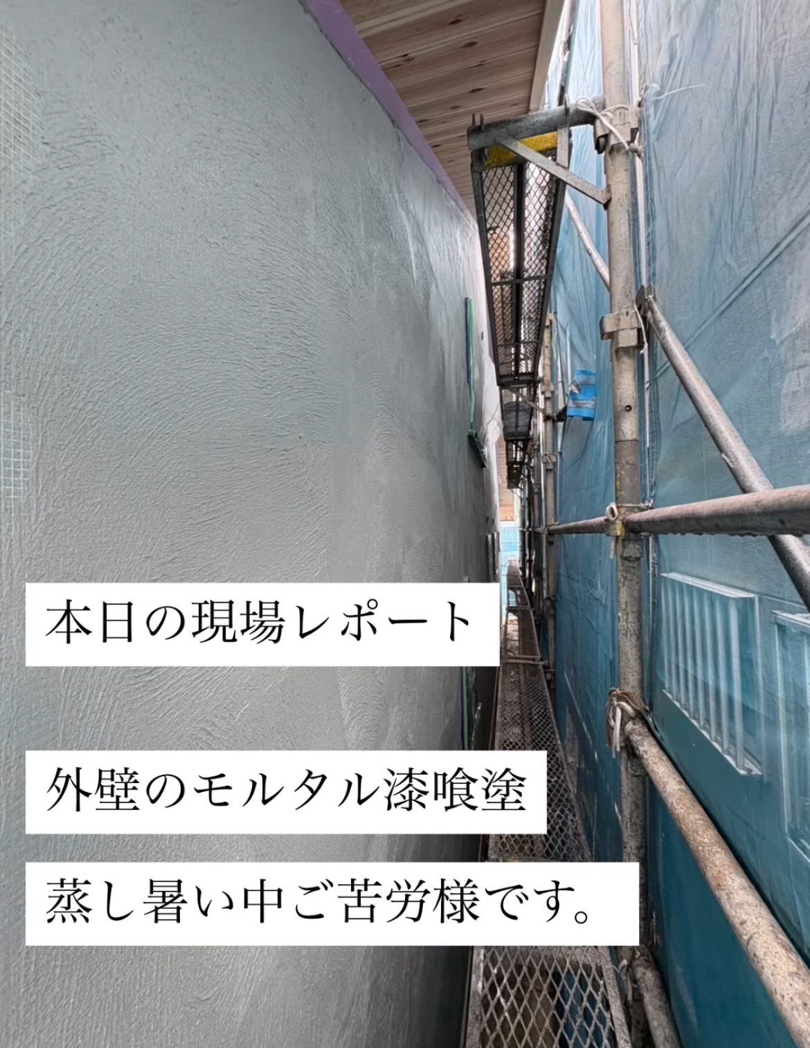 現場レポート✨（半田市）