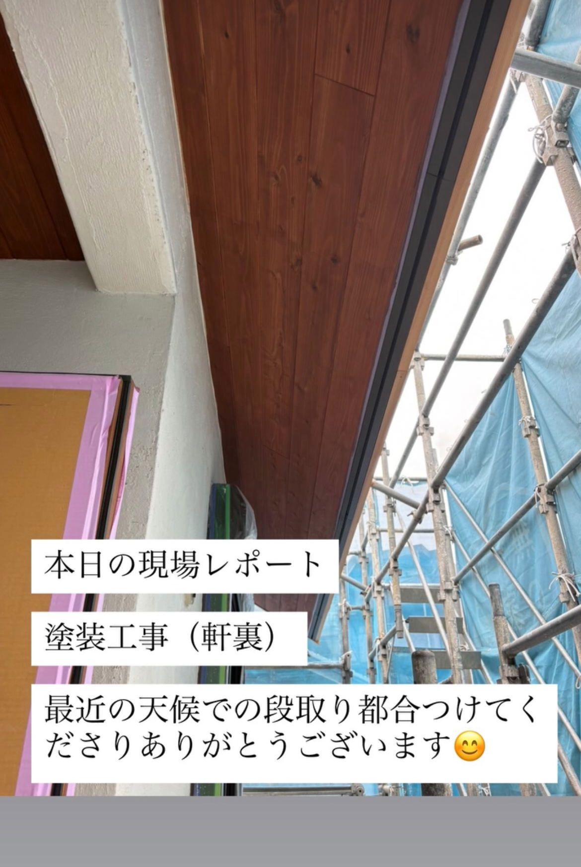 現場レポート✨（半田市）