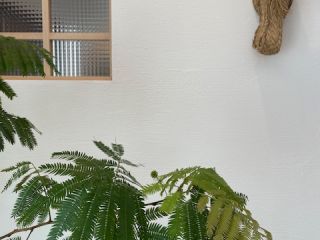 モデルハウスご来場ありがとうございました✨（白山village）